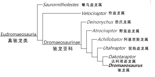 驰龙_百度百科
