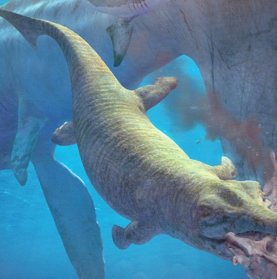  p>平喙鳄也称为地蜥鳄,是一种生活于海洋中的 a href="#" data-lemma