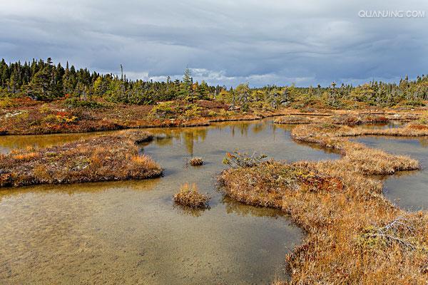 形成途径有水域沼泽泥炭化和陆地沼泽泥炭化. /p>