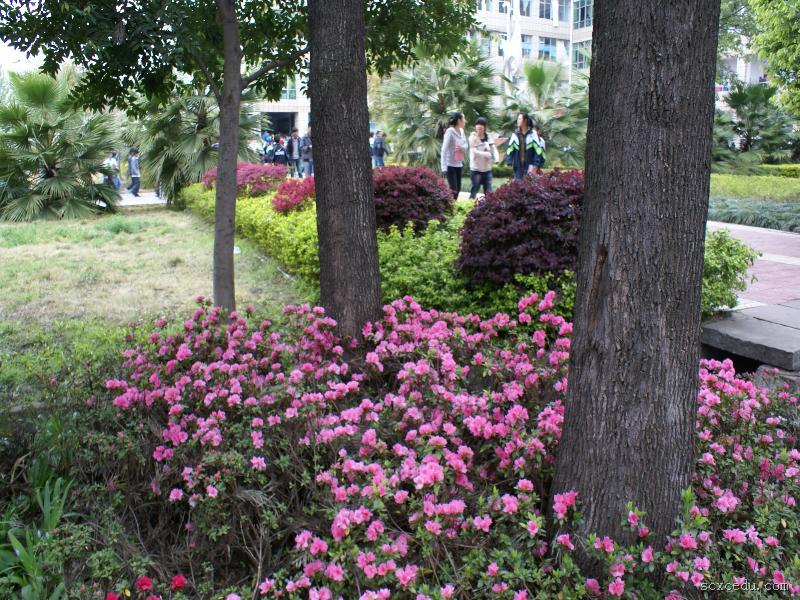 西昌市川兴中学