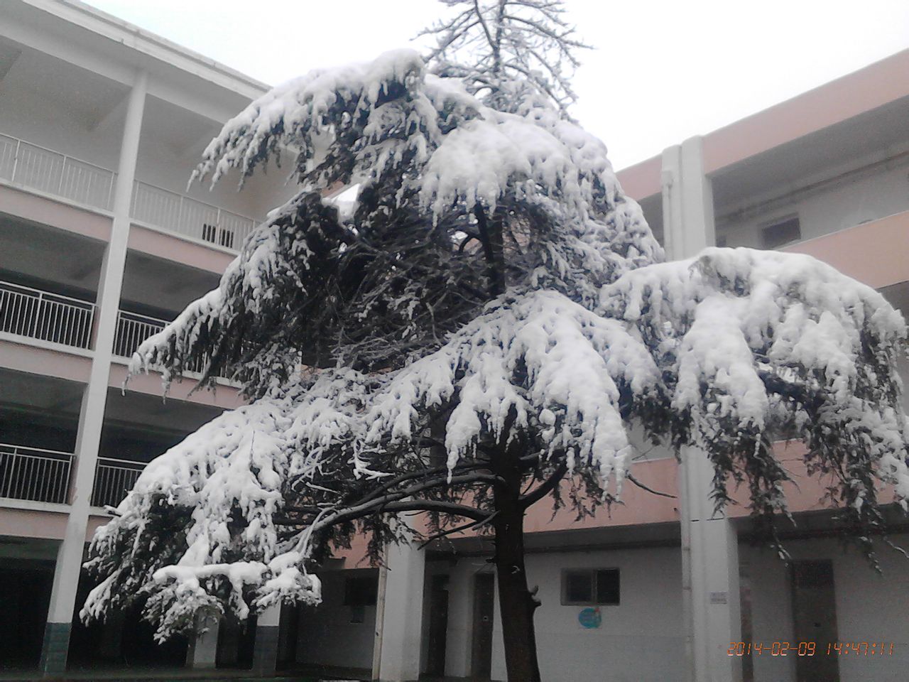 江西财经大学附属中学