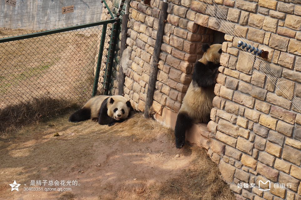 target="_blank" href="/item/成都市">成都市 /a>动物园位于四川省