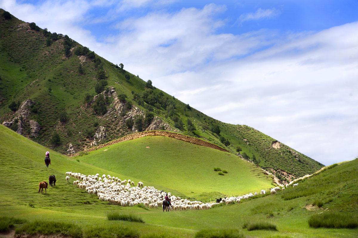 都兰国际狩猎场