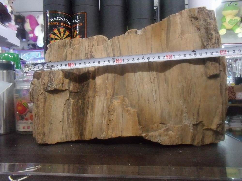  p> b>亚化石 /b>(subfossil)是指更新世以后,保存似化石的生物遗体.