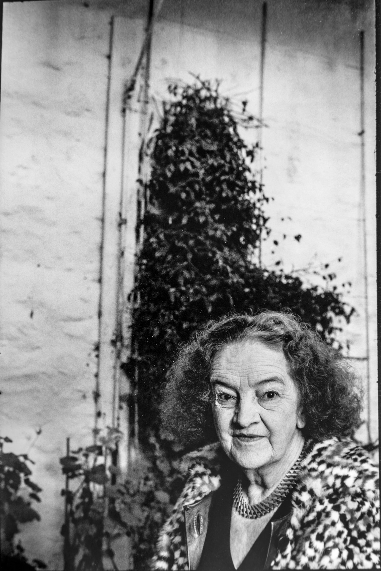 barbara hepworth