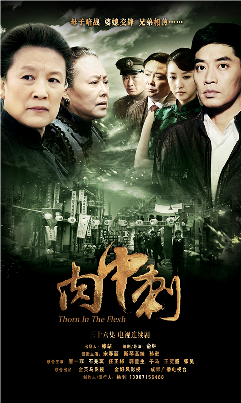  p>《独刺》是由金好风影视文化有限公司出品的电视剧, a target="