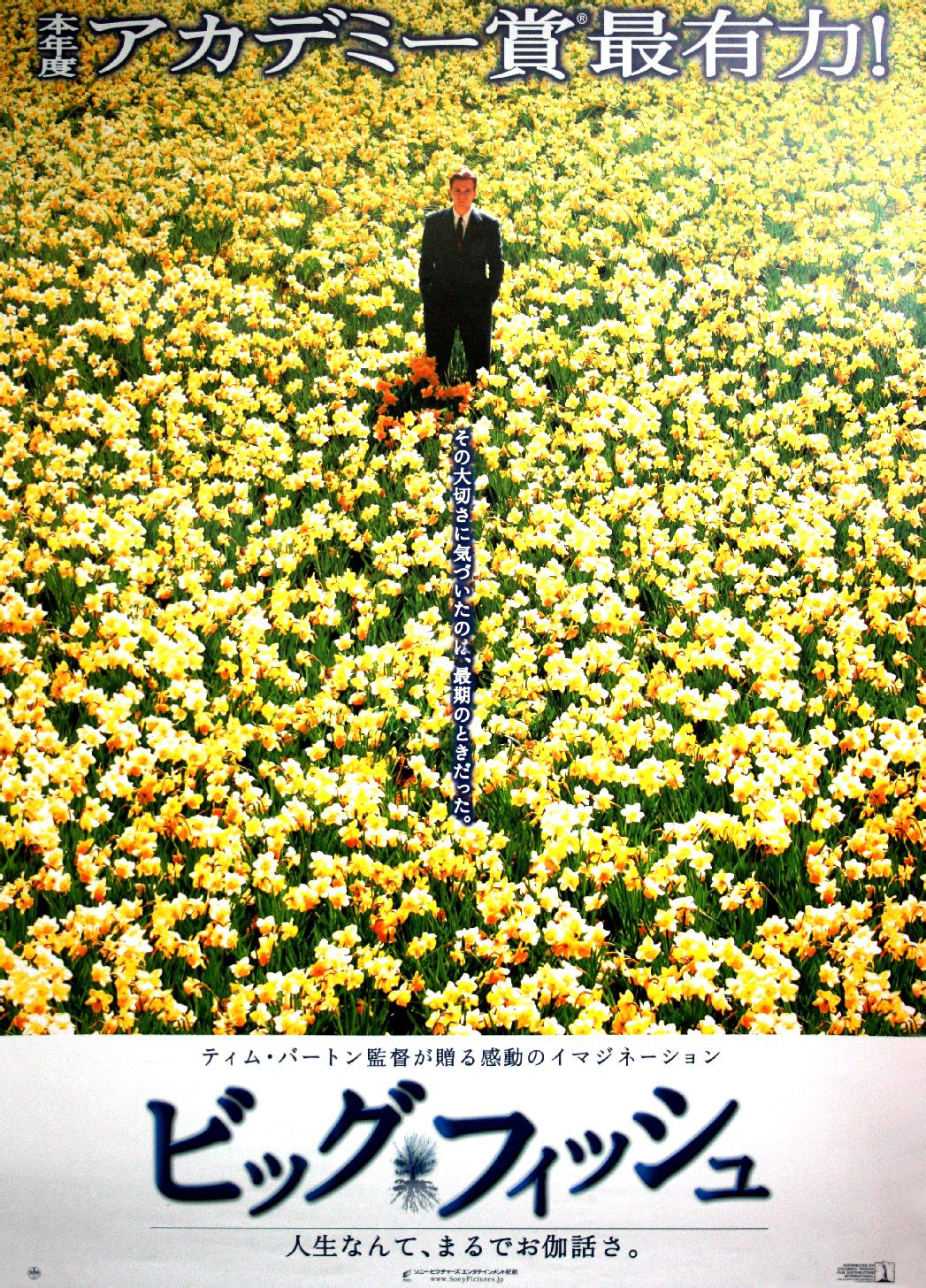  p>《大鱼》是一部2003年出品的美国奇幻片,故事改编自丹尼尔·华勒斯