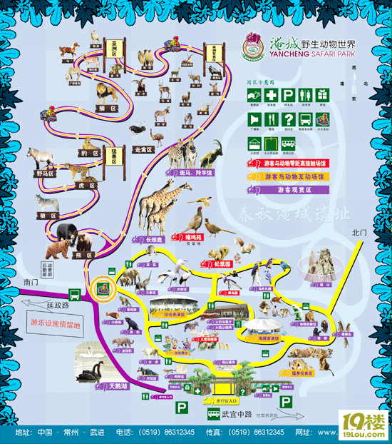  p>野生动物园中的 a href="#" data-lemmaid="22249">野生动物 /a>