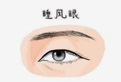 写作时你只会写一双凤眼吗？教你分辨各种眼型，写出千人千面_百科TA说