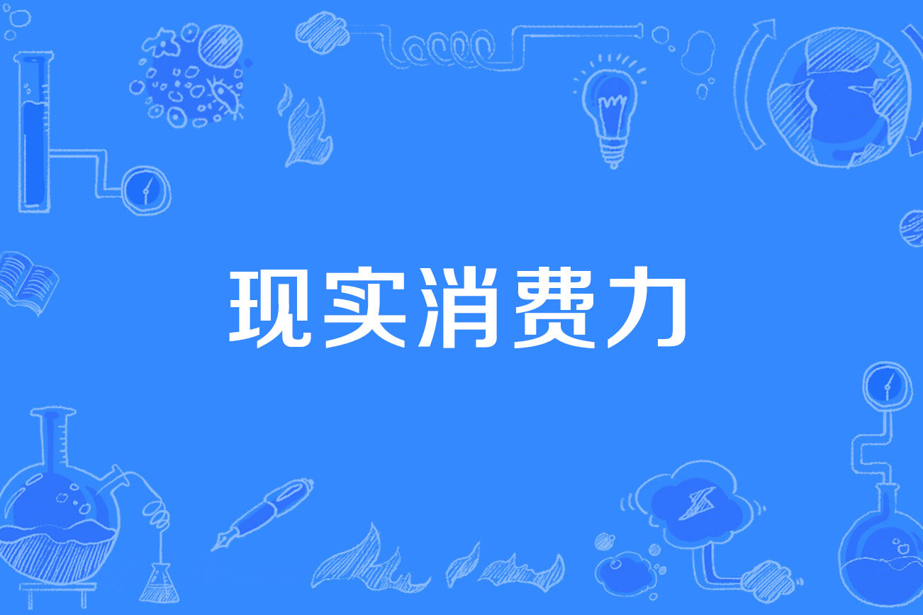 现实消费力