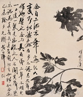 黑牡丹