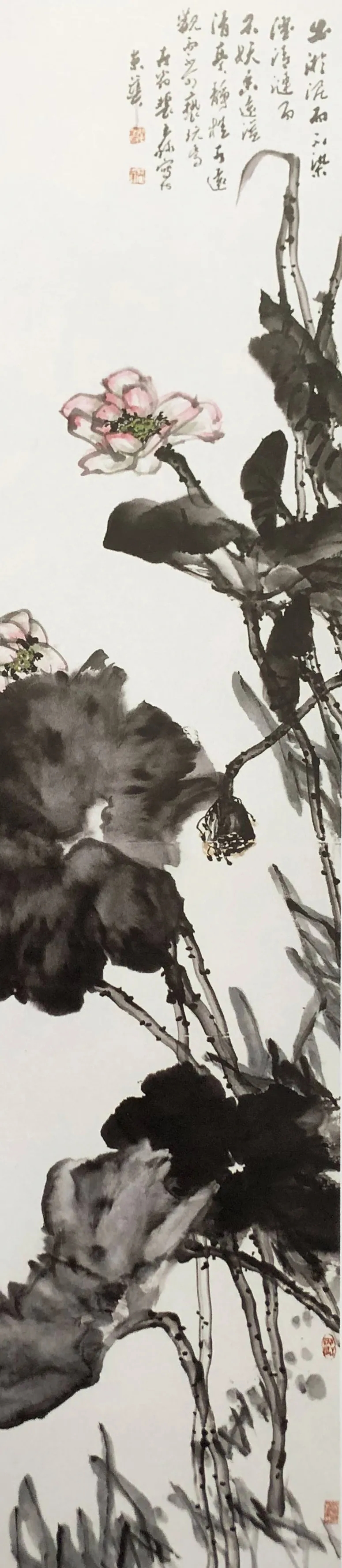 裴玉林