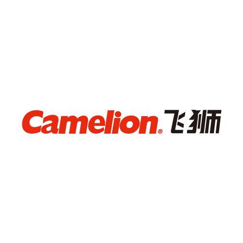 深圳市飞狮电池有限公司_百度百科