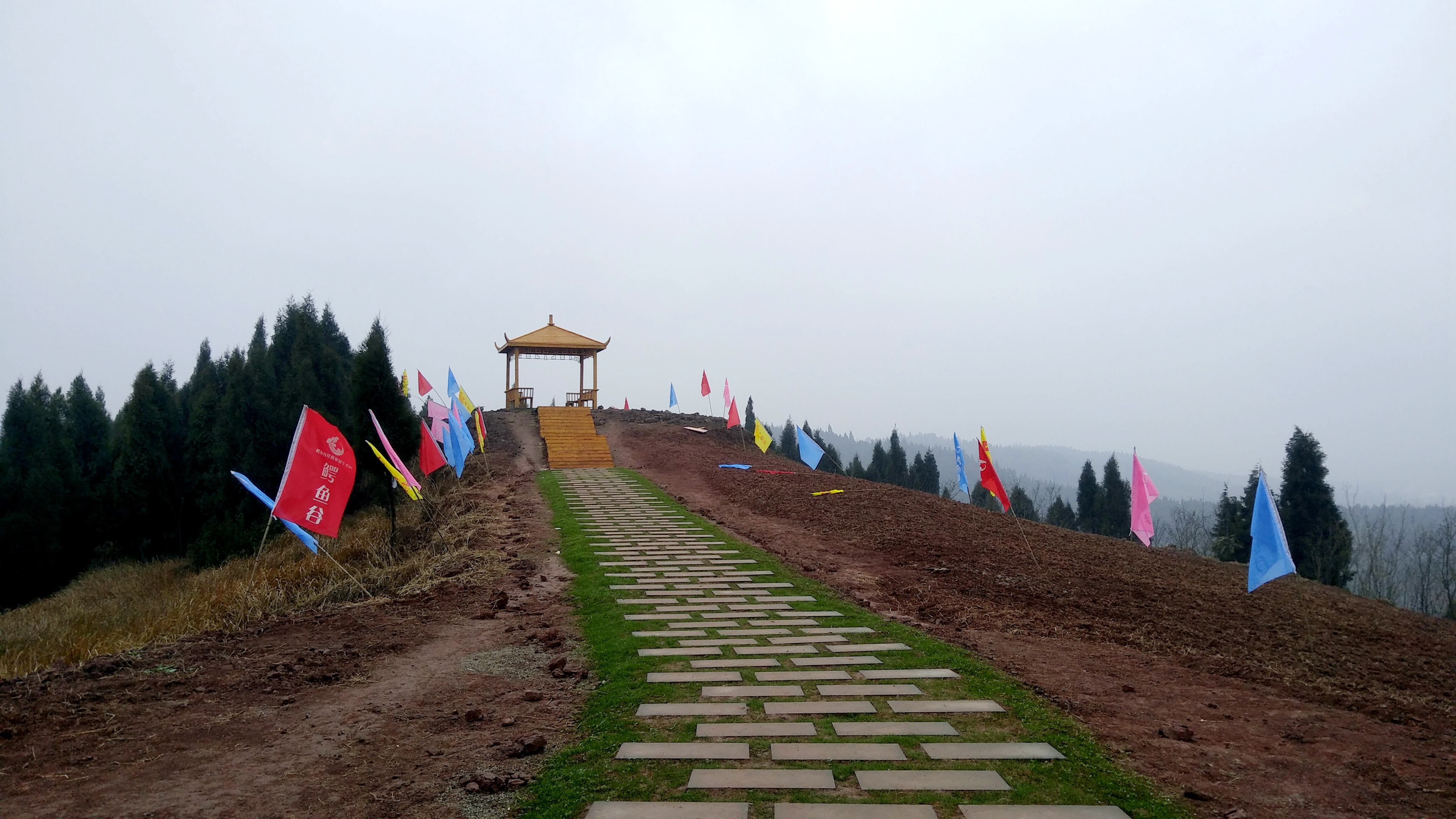 data-lemmaid="15626925">四川省 /a>广安市岳池县,地处 a target="