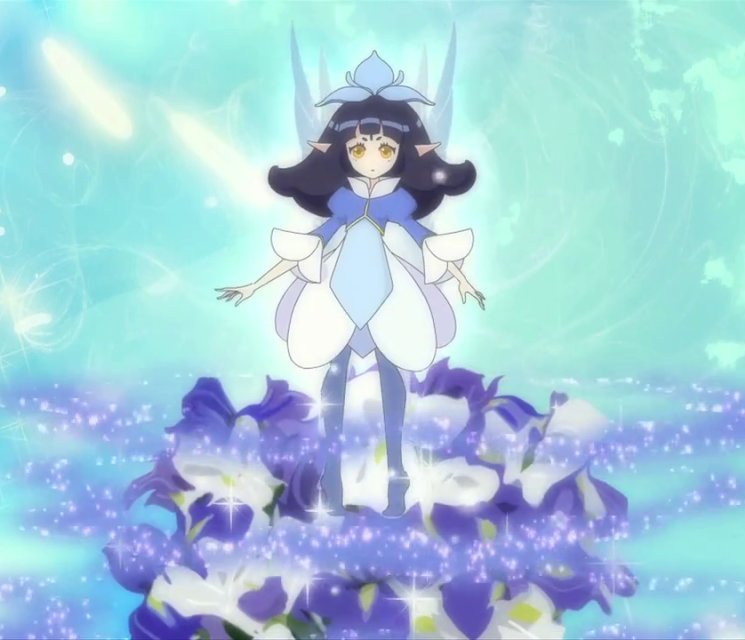 小花仙之四时花语