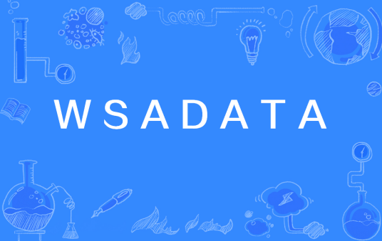 WSADATA_百度百科