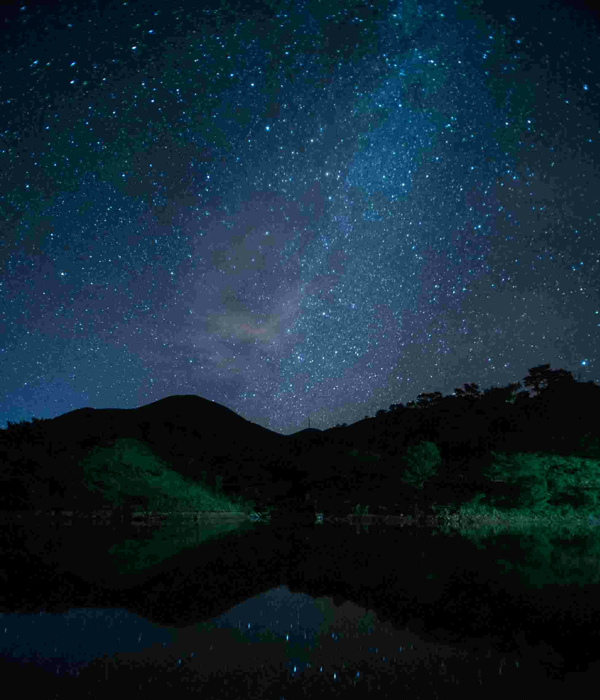 南山牧场
