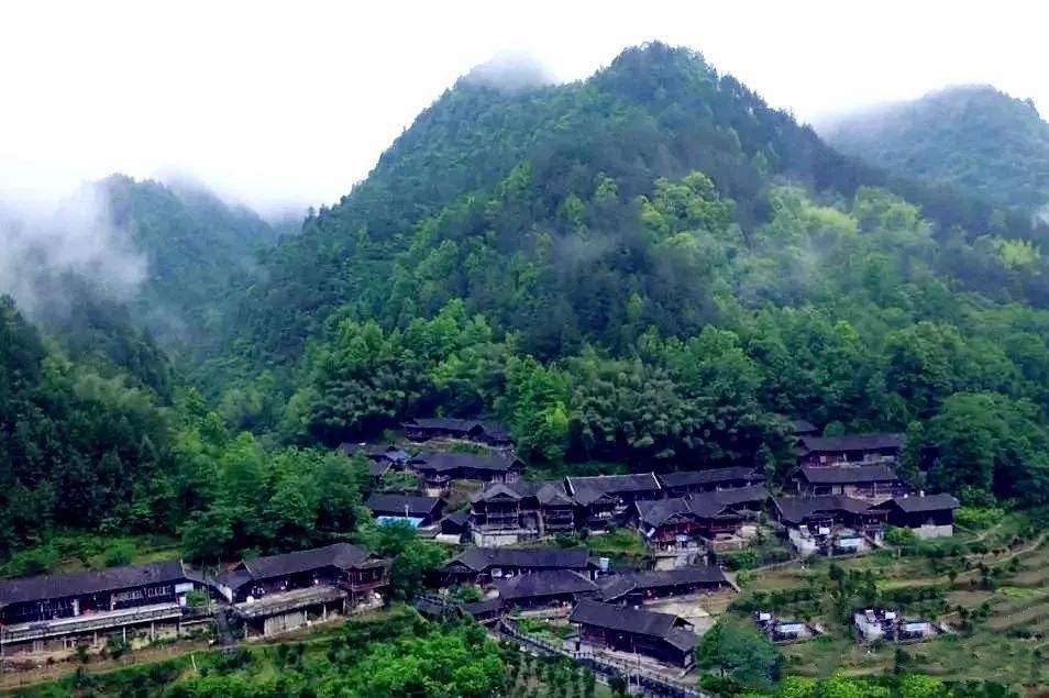 两河口村