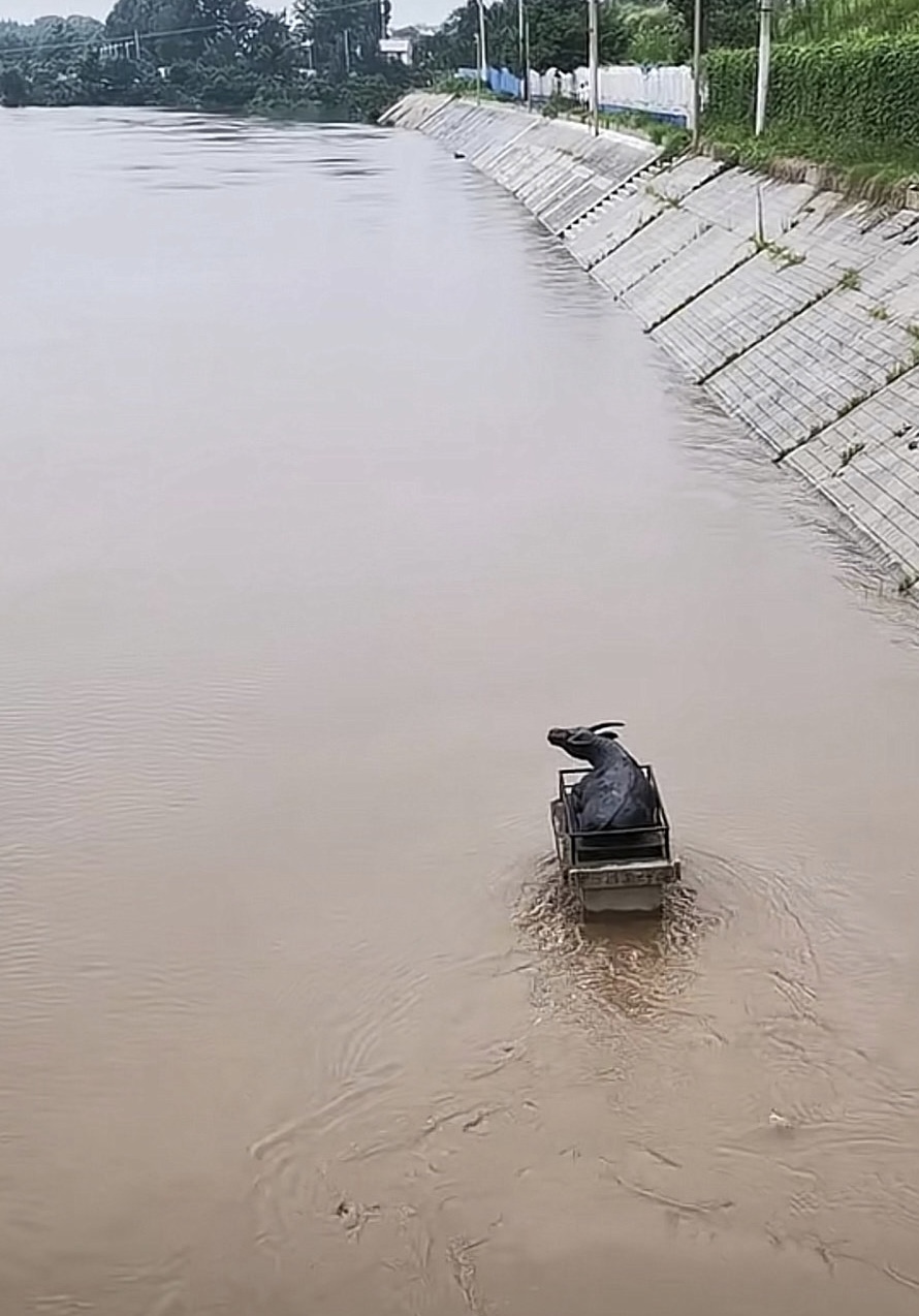 沙河铁牛