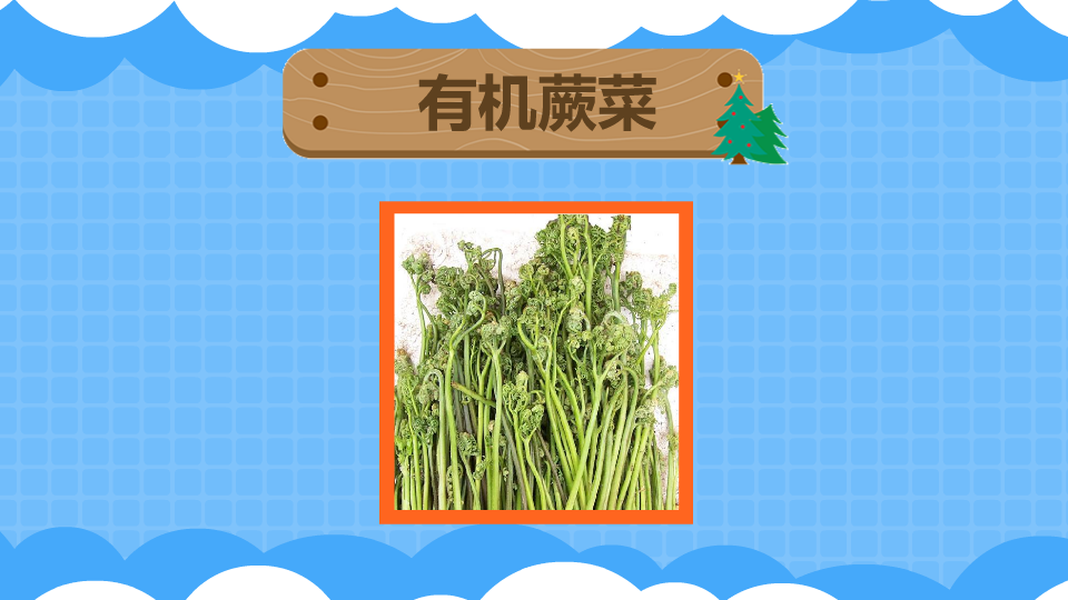 有机蕨菜:别名拳头菜、如意莱、龙头菜、粉蕨