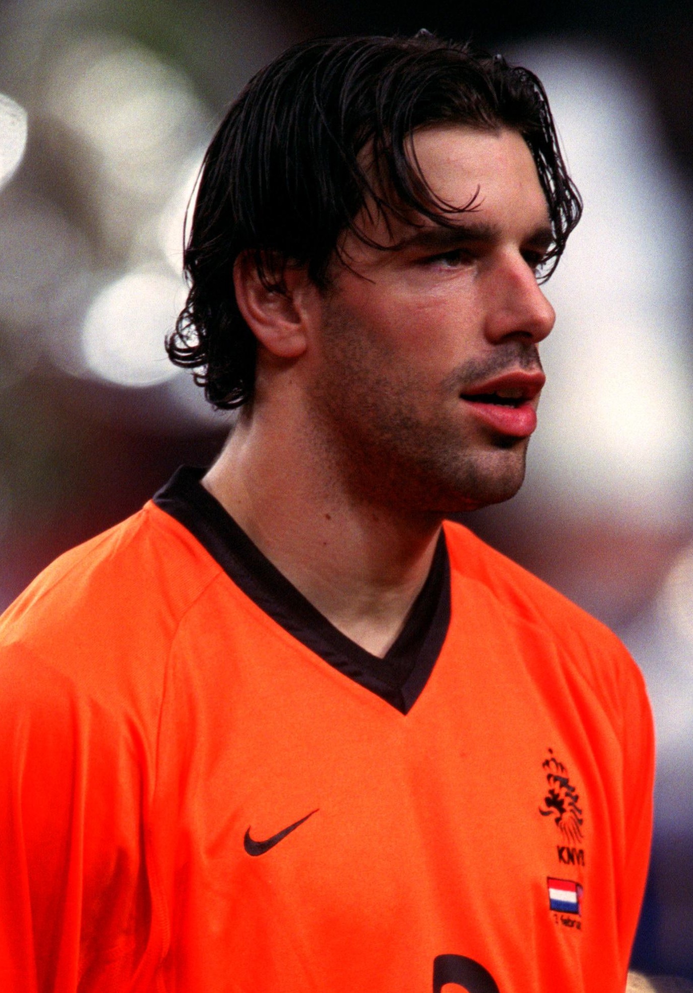 范尼斯特尔鲁伊