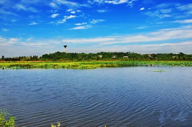 湖南黄家湖国家湿地公园