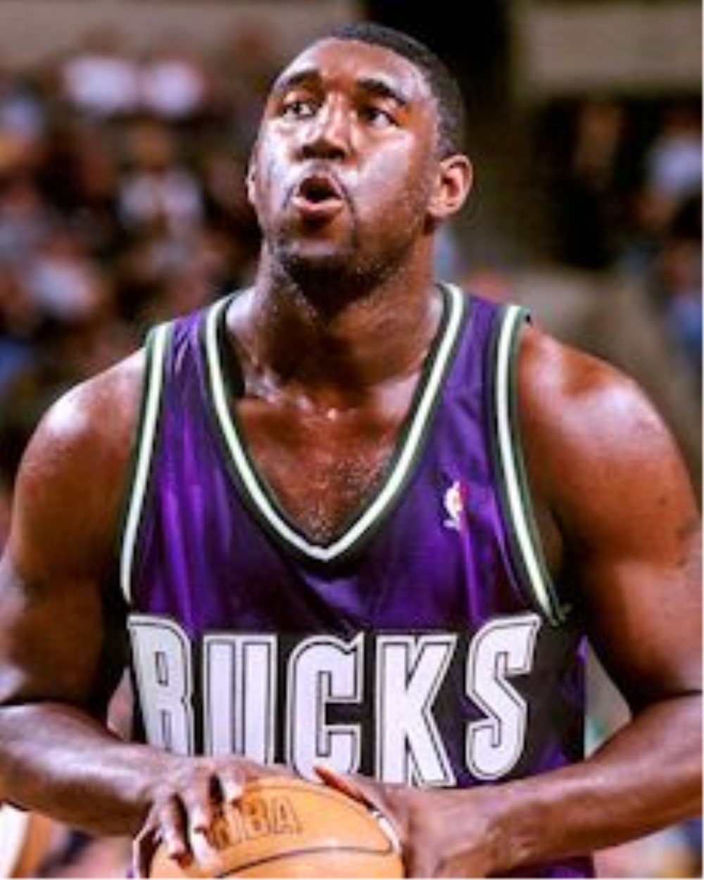  p>罗伯特·特雷勒(robert traylor,1977年2月1日—2011年5月12日)