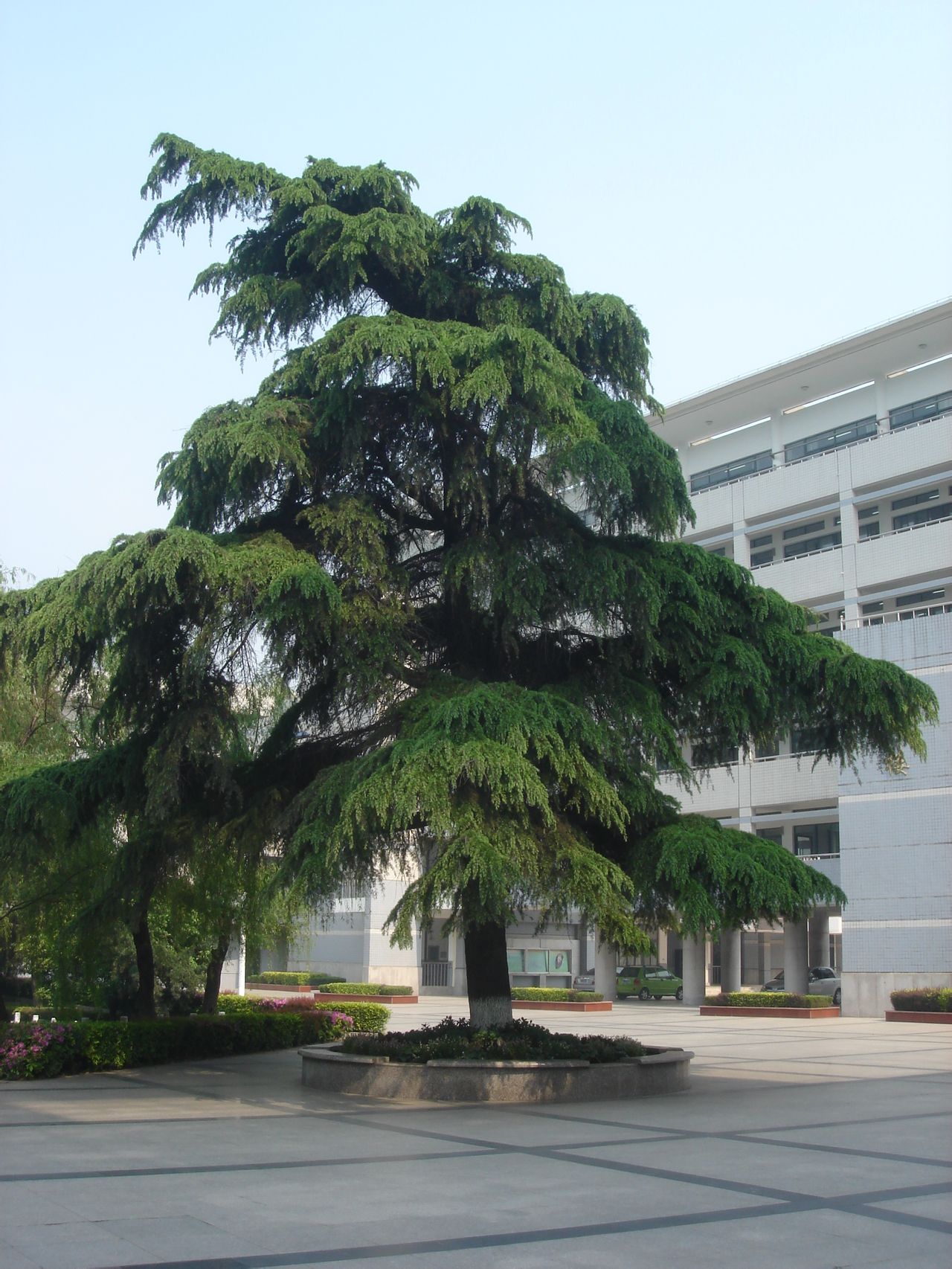 江苏省丹阳高级中学