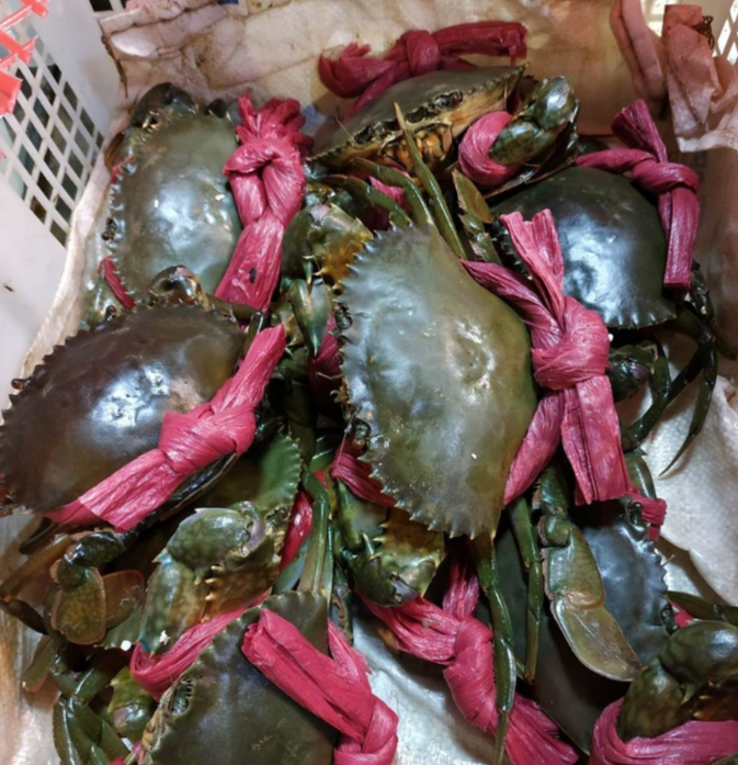 青蟹
