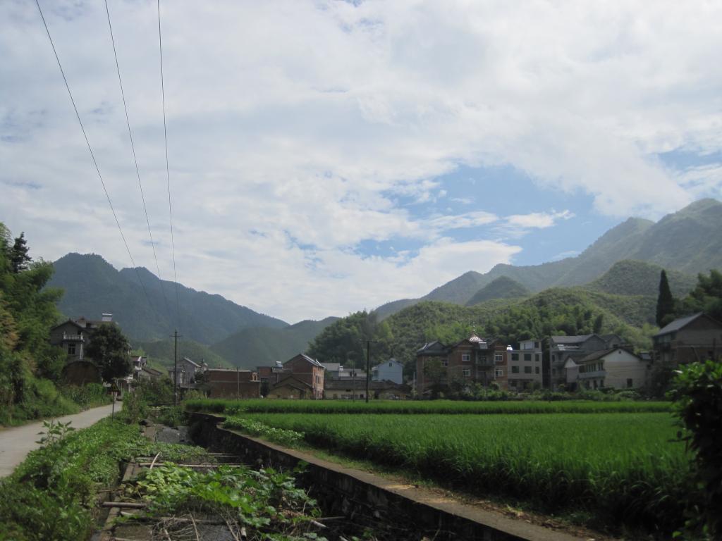  p>梅峰村是福全镇最北端的一个山村,由上马湾村,下马湾村,东园村