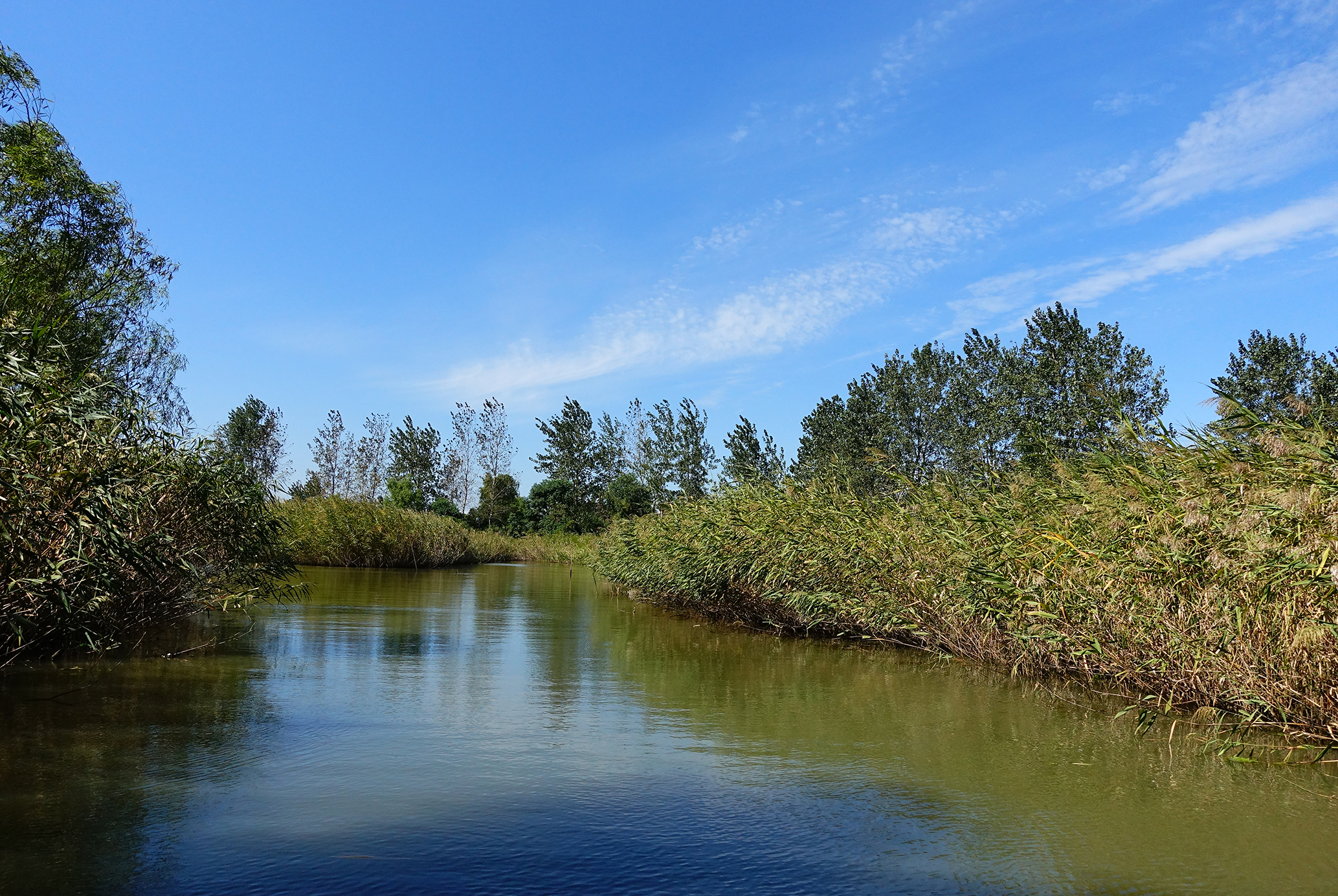  p>大纵湖旅游景区位于江苏 a href="#" data-lemmaid="5096789">盐城