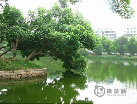  p data-id="gnyuvvongg">周浦公园位于上海市浦东新区,该公园免费向