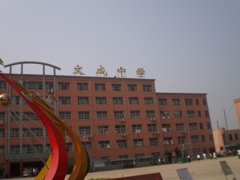  p>鸡西市文成中学,成立于1995年,是一所集学习,住宿就餐于一体的民办