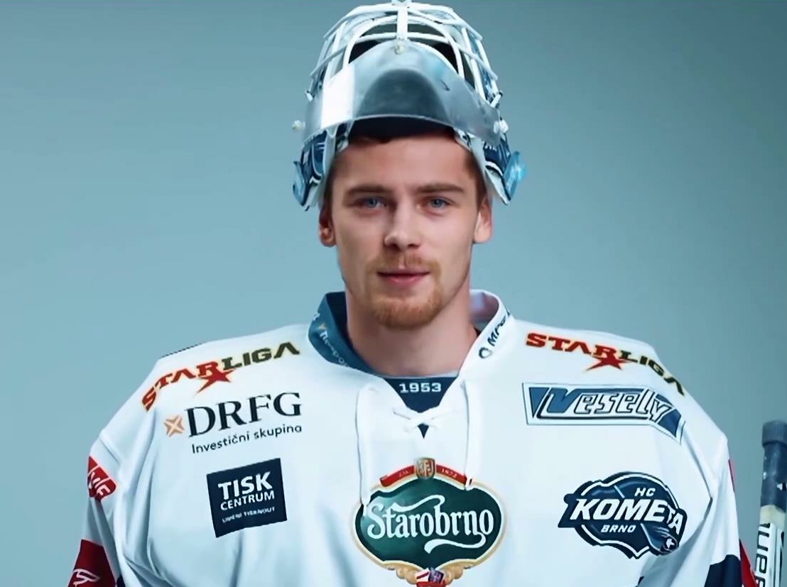  p data-id="gnzht1ixtg">卡尔·维莫尔卡(karel vejmelka),捷克