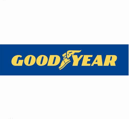  p>固特异( a target="_blank" href="/item/goodyear">goodyear /a>)