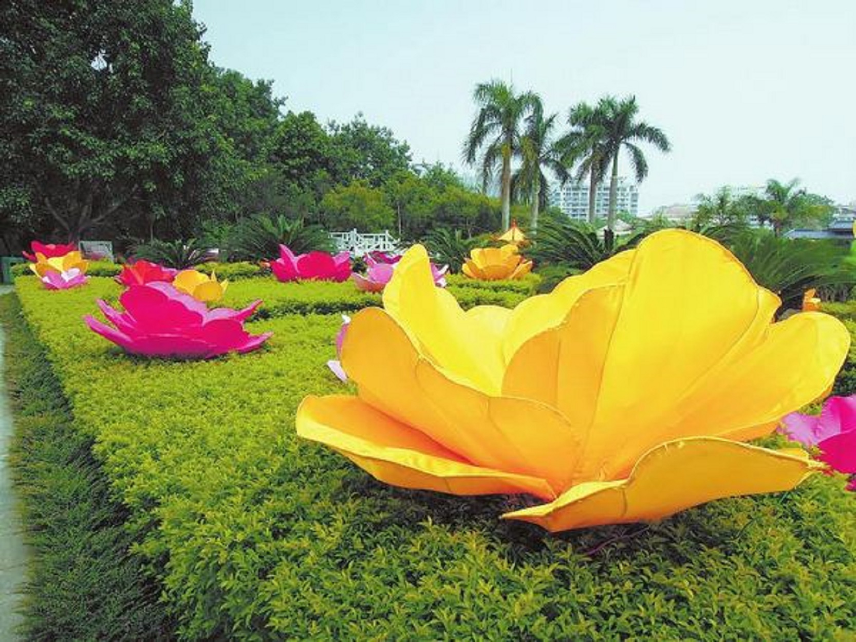  p>金花茶公园是全国首家以种植"花族皇后" a target="_blank" href="