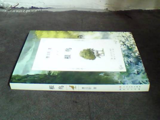 根鸟（2016年江苏凤凰少年儿童出版社出版的图书）_百度百科