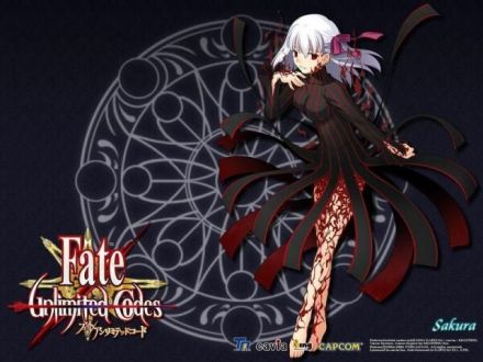 Fate/stay night（TYPE-MOON发行的文字冒险游戏）_百度百科