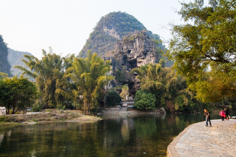 阳朔大榕树