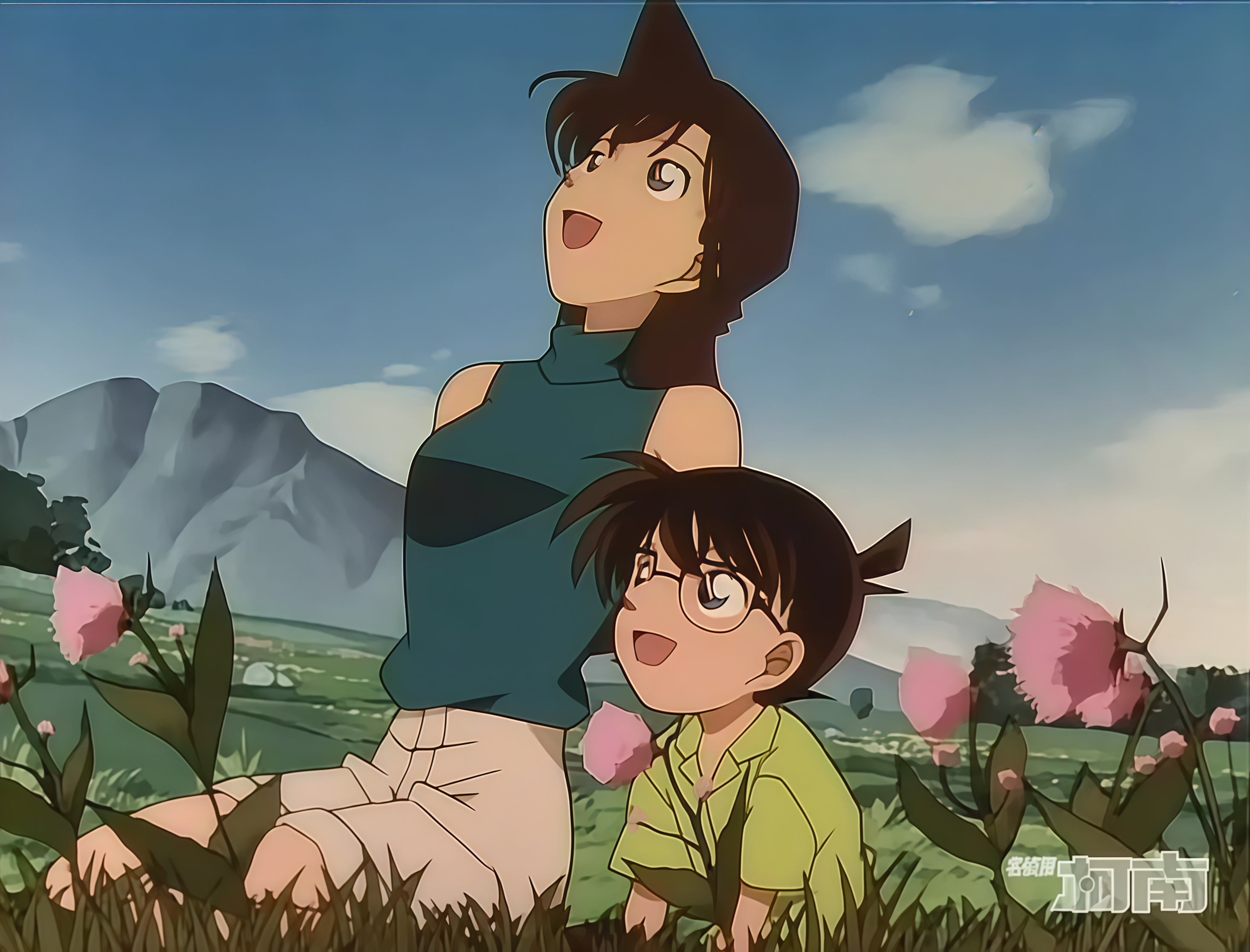 关于柯南剧情的信息