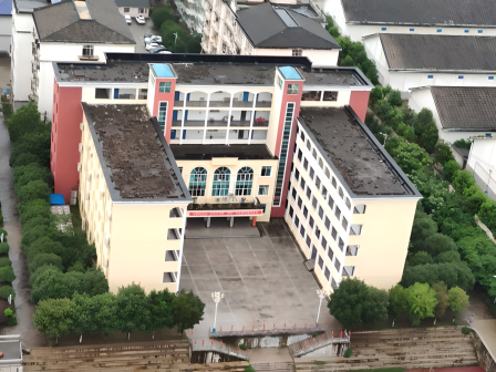 湖北省鄂南高级中学图片