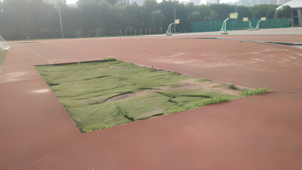 体育设施图片