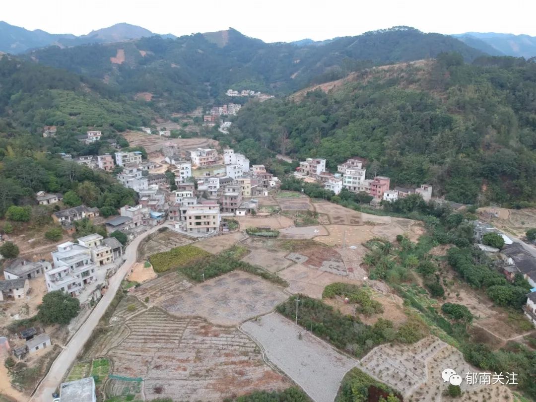  p>下大塘村隶属于云南省红河州河口瑶族自治县桥头苗族壮族乡薄竹箐