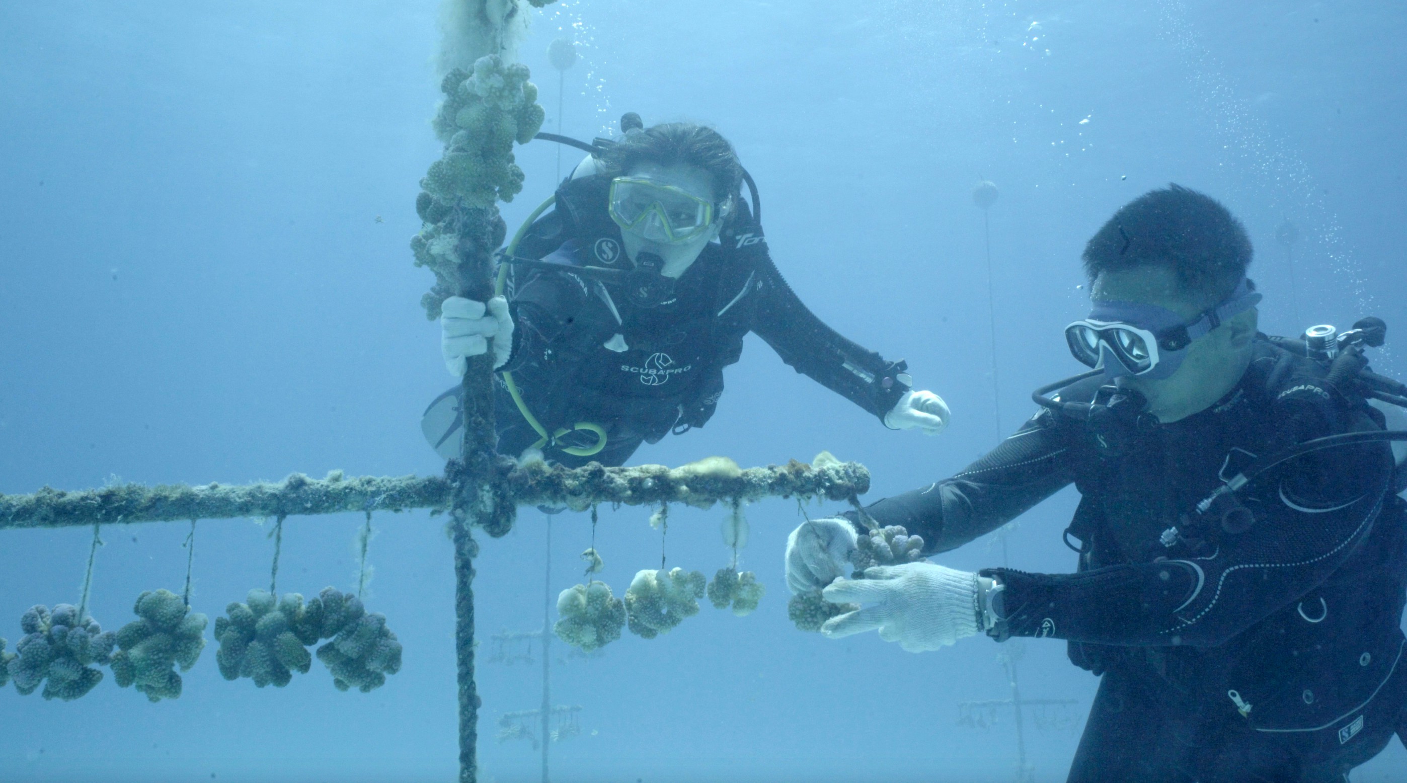 blank" href="/item/中国科学院南海海洋研究所/2660556"