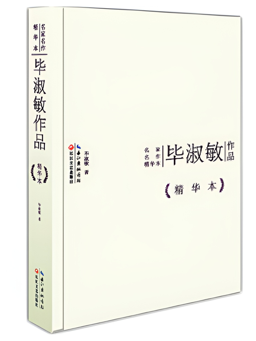 名家名作精华本:毕淑敏作品