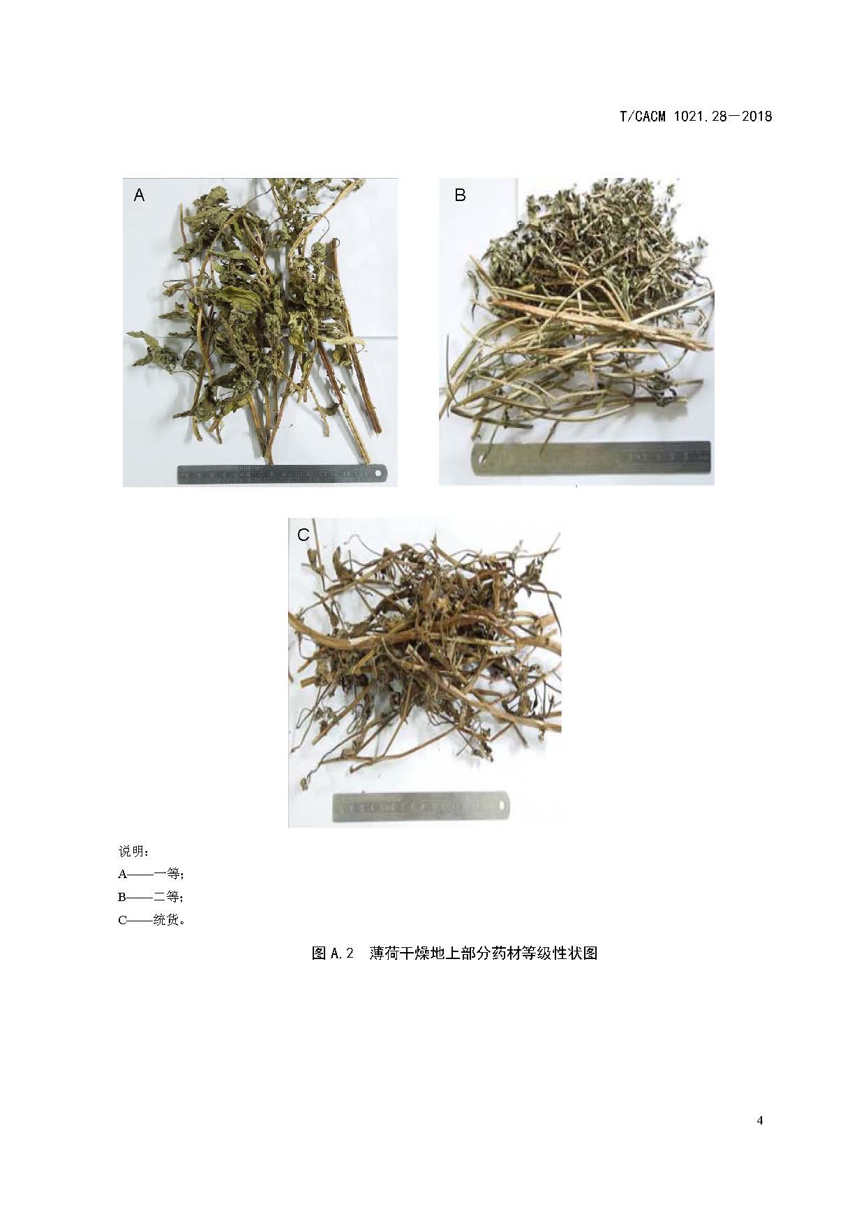  p>《中药材商品规格等级—薄荷》(t/cacm 1021.
