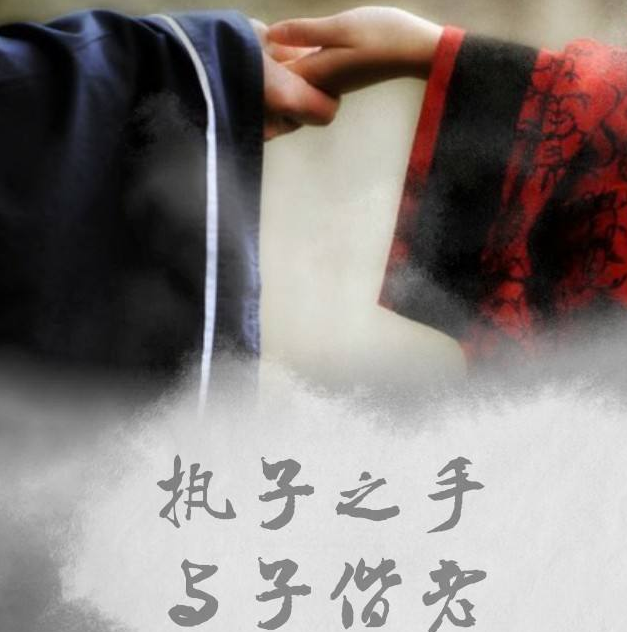 执子之手，表达的是什么情_百科TA说