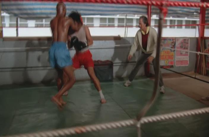 《拳击小子》是由孙仲导演,狄龙,陆剑明,梁婉静等主演的动作电影