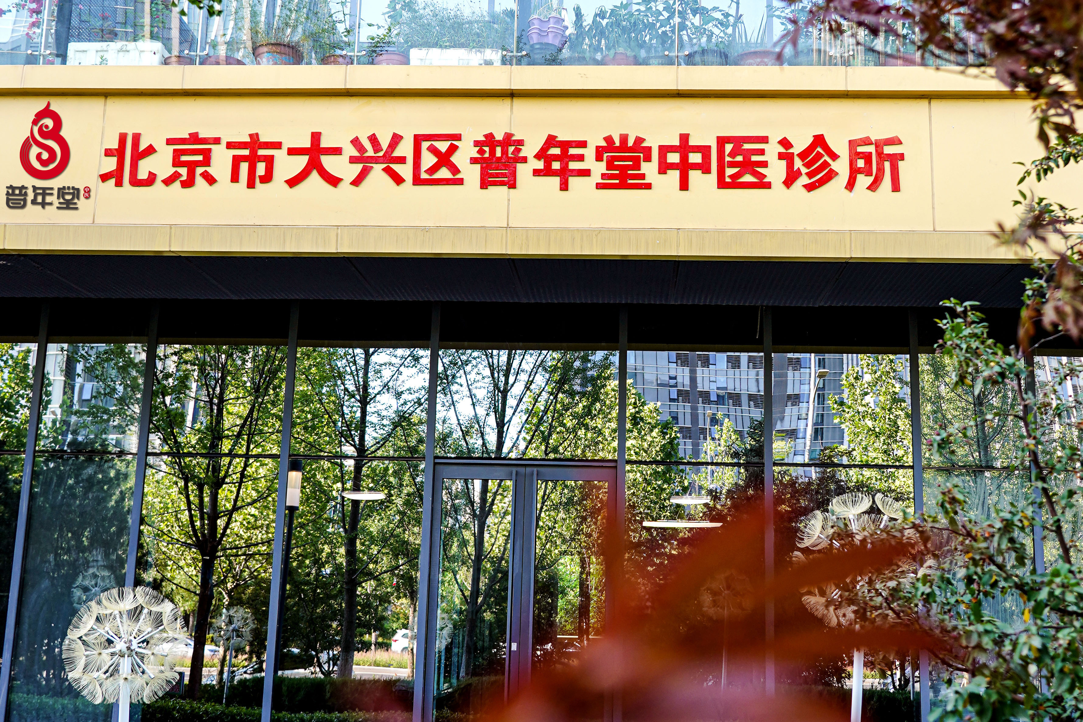 北京中医医院、大兴区靠谱的代挂号贩子的简单介绍