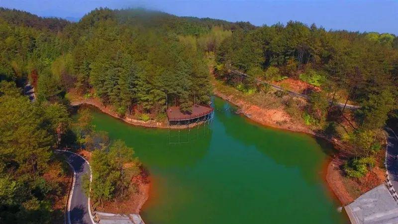 三溪口森林公园